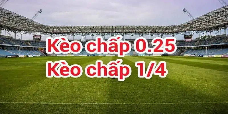 Kèo chấp 1/4 là một sự lựa chọn phổ biến khi tham gia cá cược tại HB88